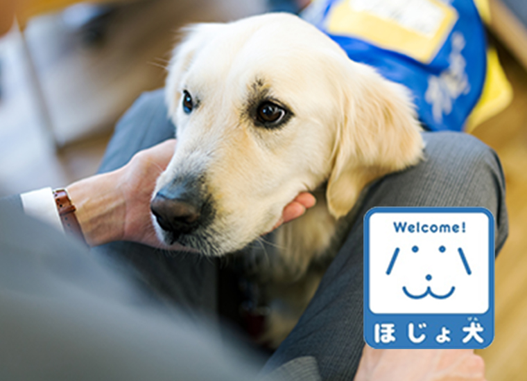 身体障害者補助犬の受け入れについて